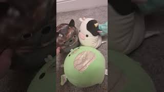 AVADA KEDAVRA duet with lutralutrapeacock funny squishmallows [upl. by Napra732]