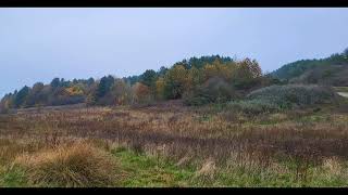 Silverhill wood photography Ft Nottinghamshire peak 204m and minor statue [upl. by Akinhoj217]