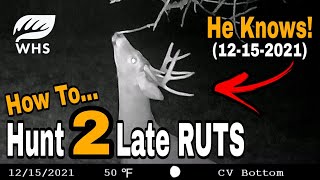 2nd amp 3rd Whitetail Rut Hunting Tips [upl. by Izaak]