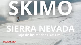 SIERRA NEVADA  ESQUI DE MONTAÑA  SKIMO Al Tajo de los Machos 3081 m [upl. by Hawkins671]