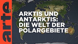 Arktis und Antarktis die Welt der Polargebiete  Mit offenen Karten  ARTE [upl. by Galitea]