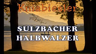 SULZBACHERHALBWALZER  Volksmusik aus Rammingen  Folge 232024 [upl. by Odranreb]