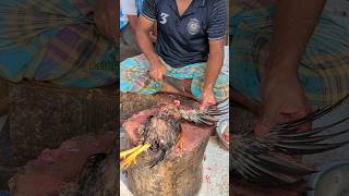 Amazing Special Desi Chicken Cutting Skills In Bangladesh Chicken Market 😱 shorts [upl. by Aileduab]