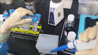 주사제의약품 엔도톡신 정성시험겔화법Injectable solution endotoxin qualitative test gelation method [upl. by Vasti695]