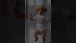 Dancing Dog Steals the Show 🕺🐶 dancechallenge trendingdance viraldance pettrend animalfun [upl. by Lacefield536]