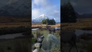 Glencoe historical valleys scotland greatglen greatglenway cairngormmountain glencoe [upl. by Weld976]