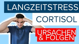 Langzeitstress und Cortisol  Was chronischer Stress ⚡ mit dir macht [upl. by Yager]