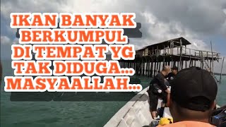 KELONG ADA IKAN KE  EP33 laut jenahak mancingdisungai ikanduri kelong [upl. by Deryl980]