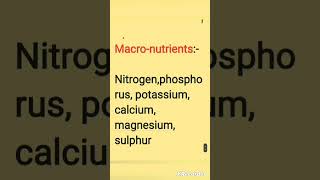 Exploring Essential Nutrients A Guide to Macronutrients and Micronutrients ytshorts study short [upl. by Aiehtela636]