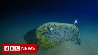 Mariana Trench Recordbreaking journey to the bottom of the ocean  BBC News [upl. by Ted]