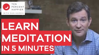 Learn Meditation in 5 Minutes with Dan Harris [upl. by Mraz]