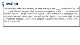 The kneejerk reflex has sensory neurons arising in the interneurons in the and efferent neurons th [upl. by Ann-Marie]