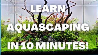 Complete Aquascaping Beginners Guide  Learn ALL The Basics [upl. by Burk]