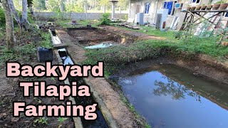 Paano Magsimula ng Tilapia Farming sa Bakuran [upl. by Mei]