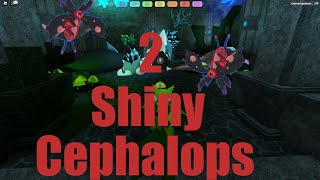 2 gleaming Cephalops in loomian legacy [upl. by Ayekam]