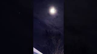 Kartik Purnima in Seattle Washington USAfullmoon shortvideo ytshorts [upl. by Letisha]