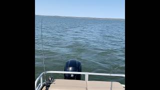 Striper fishing at Lake Texoma laketexoma fishing [upl. by Uball]