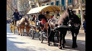 Cavalcada dels Tres Tombs de Sant Antoni  Barcelona 1912019 [upl. by Emily]