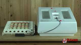 Professional Egg Incubator Kit With Turner [upl. by Banwell]