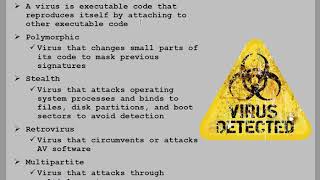 Computer Virus Types Explained  Polymorphic Stealth Retrovirus Multipartite [upl. by Eclud489]