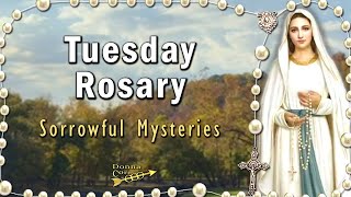 TODAY HOLY ROSARY Tuesday 🙏 Sorrowful Mysteries Rosary NOVEMBER 12 2024 Dogwood Canyon Branson MO [upl. by Leen405]