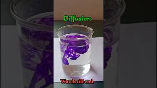 Is DIY Diffusion Worth It experiment [upl. by Nayab362]