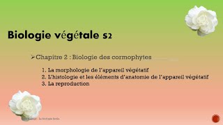 Biologie végétale S2 les cormophytes partie1 [upl. by Rbma]