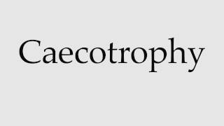 How to Pronounce Caecotrophy [upl. by Esom]