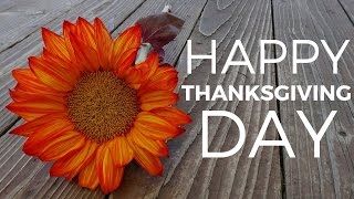 Best Wishes For Thanksgiving Day  Beautiful Happy Thanksgiving Quotes [upl. by Williams]