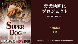 愛犬映画化プロジェクト 今週の作品６選 [upl. by Hetti14]