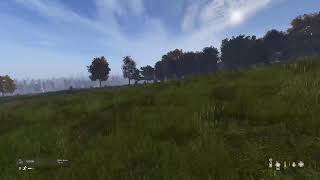 DAYZ 2024 OFFICIAL SERVERS [upl. by Ilka572]