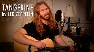 quotTangerinequot by Led Zeppelin  Adam Pearce Acoustic Cover [upl. by Aikemot819]