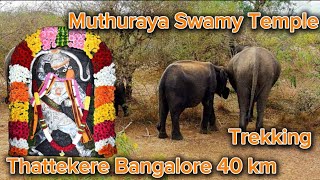 Thattekere muthuraya swamy temple trekking Harohalli Jigani Bangalore 40 km [upl. by Alie]