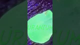 Ultra rare uranium sea glass uranium rare glow [upl. by Aredna]