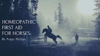 How Administer Homeopathy to Horses [upl. by Eibrik124]