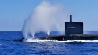 Dolphins Swimming With Nuclear Submarine USS Pennsylvania SSBN 735 [upl. by Ellehsad]