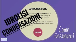 Come funzionano CONDENSAZIONE e IDROLISI  Violabiochimica [upl. by Jezreel]