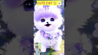 Cute cat 🐈😺 naat cat trending shortsviralbilli trending naat [upl. by Halliday]