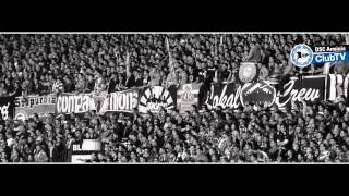 DSC Arminia Bielefeld  Spannung vor Saisonfinale [upl. by Llerahc543]