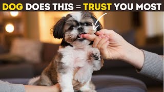 Scientist Confirmed 11 Signs That Shows Your Dog Trust You Completely [upl. by Llemrej346]