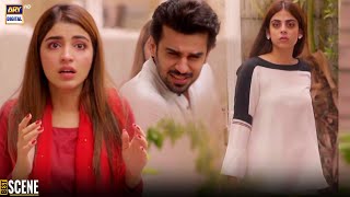 Shiza Ka Badla  Best Scene  ARY Digital [upl. by Notelrahc]