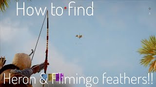 How to find Heron and Flamingo feathers  Assassins Creed Origins [upl. by Ahtilat167]