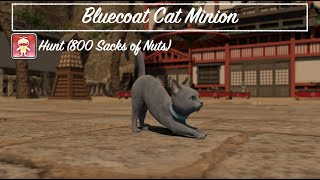 Final Fantasy XIV  Bluecoat Cat Minion [upl. by Kcirdnek]