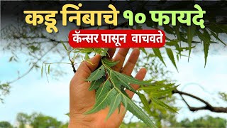 कडू निंब खाण्याचे फायदे  Kadunimb benefits in marathi [upl. by Lore]