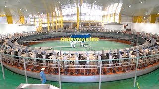 Huge 100 unit rotary milking parlour  Baladna Farm Qatar [upl. by Eaj]