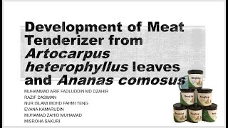 AgriFood Innovation  The Nangging Development of Meat Tenderizer [upl. by Enomys]