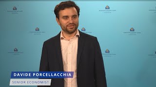 The macroeconomic effects of liquidity supply during financial crises [upl. by Karla343]