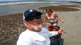 Aftermath of Hurricane Debby on a SC Barrier Island Beach Beach Treasures Washed Ashore [upl. by Leopold814]