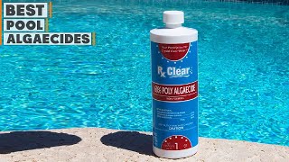 Top 10 Best Pool Algaecides in 2024  Detailed Reviews amp Buyers Guide [upl. by Asim]