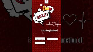 General heart Quiz nursing nursingstudent english [upl. by Niggem956]